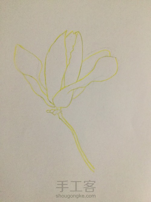 一枝花 第2步