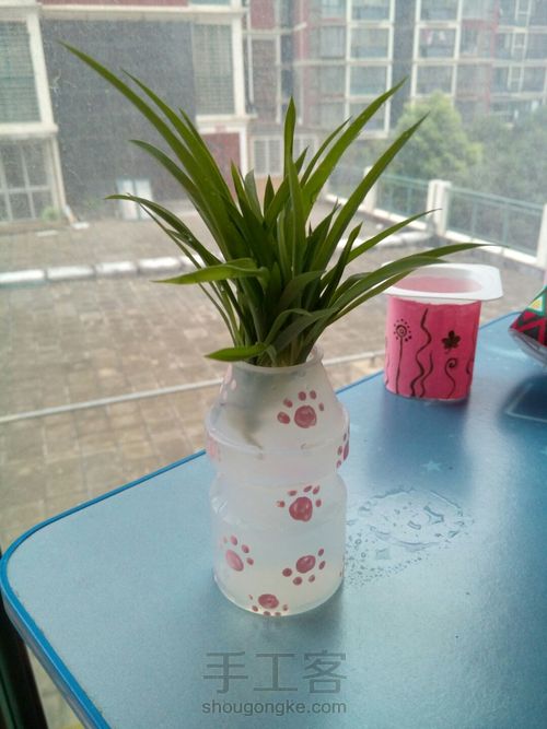 酸奶盒变美美哒小花盆 第6步