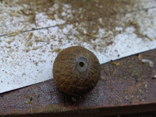 菩提根制做教程 第2步