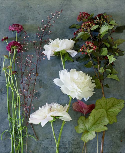 三步法自然风花艺教程——夏 第1步