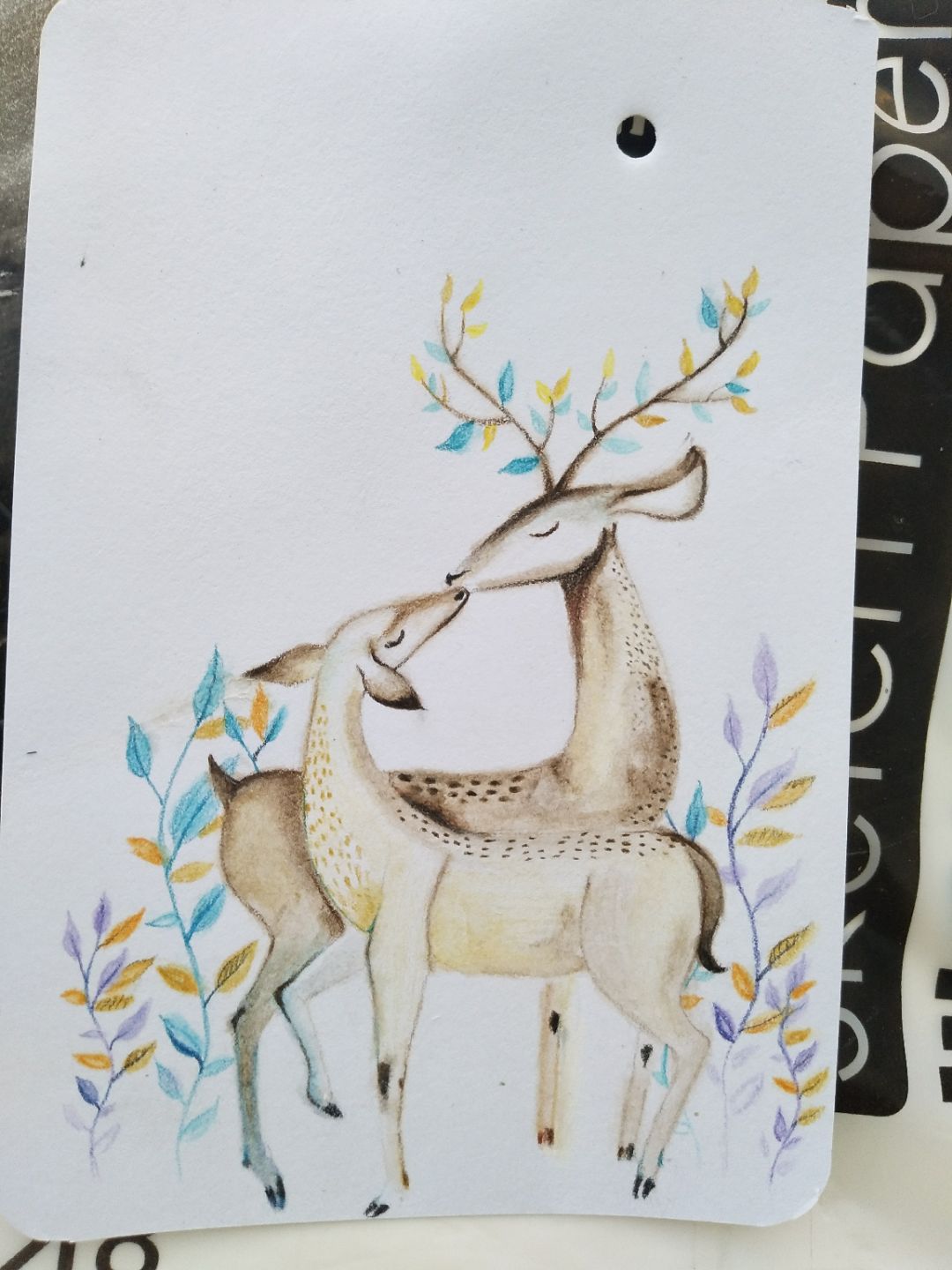 水溶性彩铅手绘发财鹿