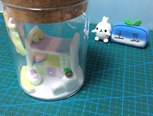 瓶子里的世界—彩虹系列