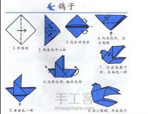 动物世界 第4步