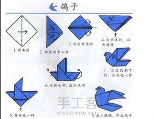 动物世界 第4步