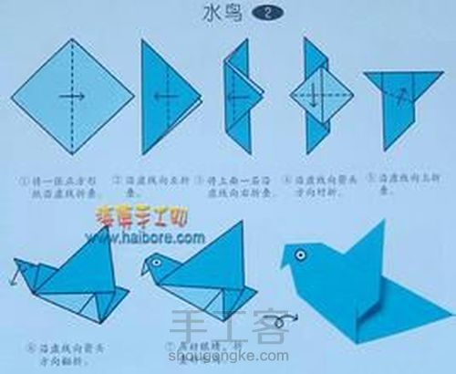 动物世界 第7步