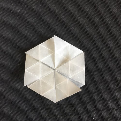 六瓣雪花❄四式❄折纸教程 第9步