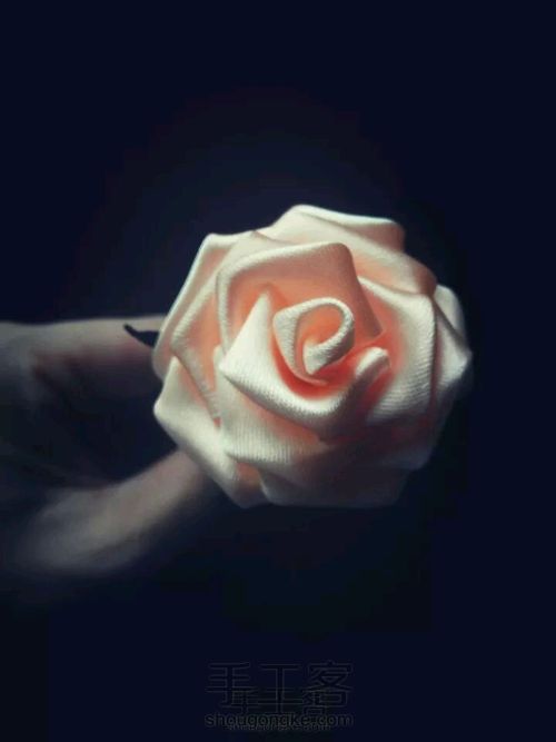 细工蔷薇 第1步