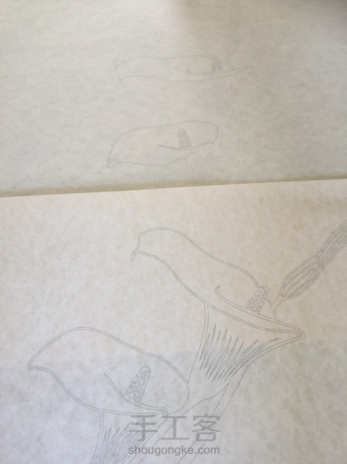 纸琢纸雕灯丨马蹄莲 第4步