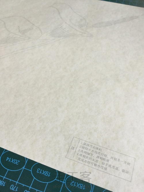 纸琢纸雕灯丨马蹄莲 第5步