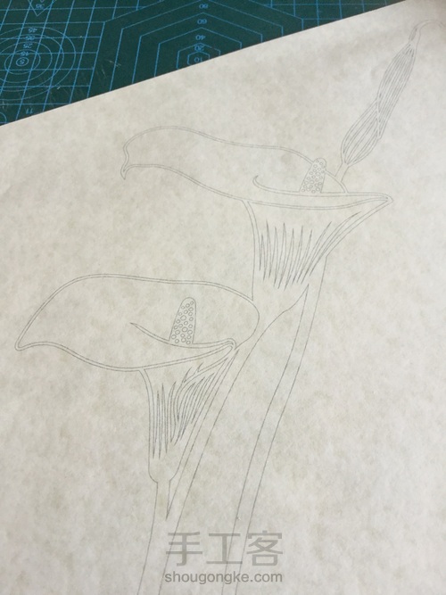 纸琢纸雕灯丨马蹄莲 第6步