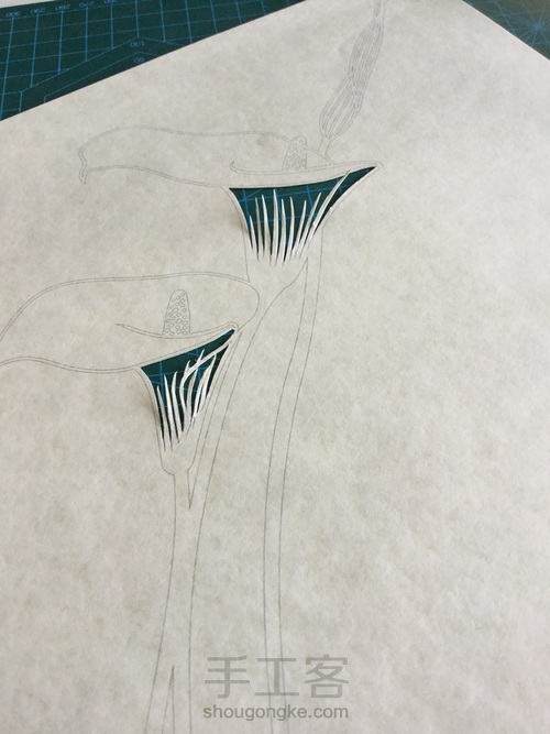 纸琢纸雕灯丨马蹄莲 第7步