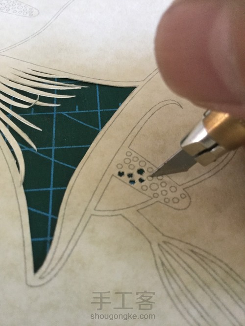 纸琢纸雕灯丨马蹄莲 第8步