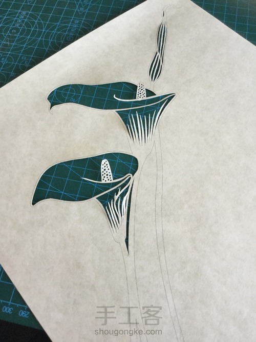 纸琢纸雕灯丨马蹄莲 第9步