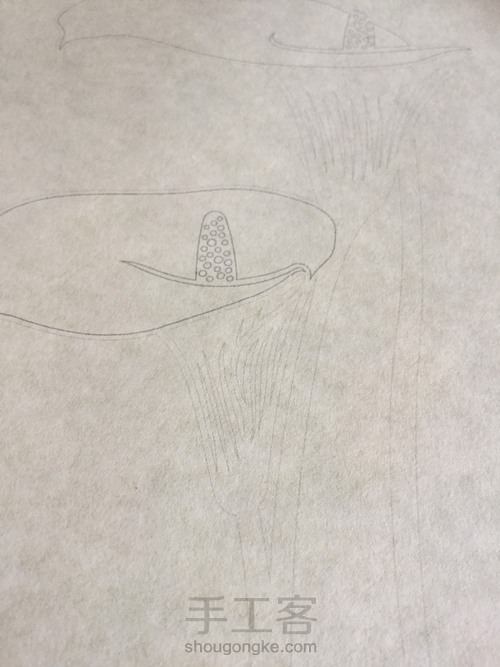 纸琢纸雕灯丨马蹄莲 第12步