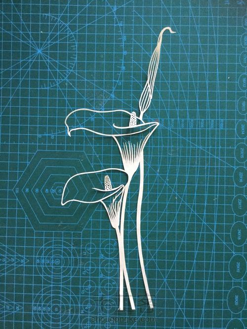 纸琢纸雕灯丨马蹄莲 第11步