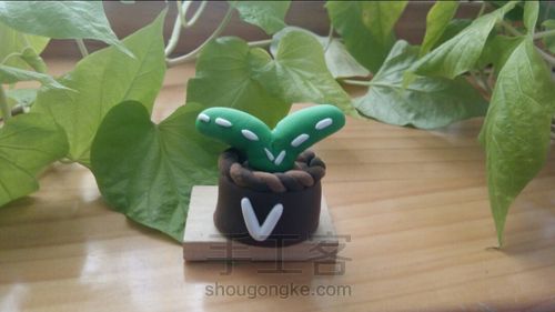 粘土植物篇 治愈系 小多肉《V》 第7步