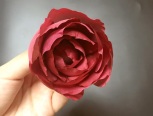 红玫瑰——红是朱砂痣烙印心口