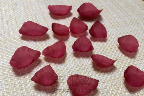 红玫瑰——红是朱砂痣烙印心口 第3步
