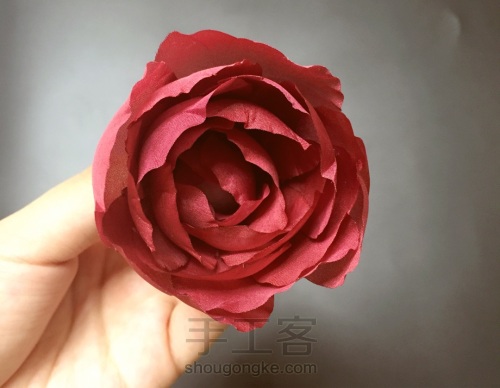 红玫瑰——红是朱砂痣烙印心口 第4步