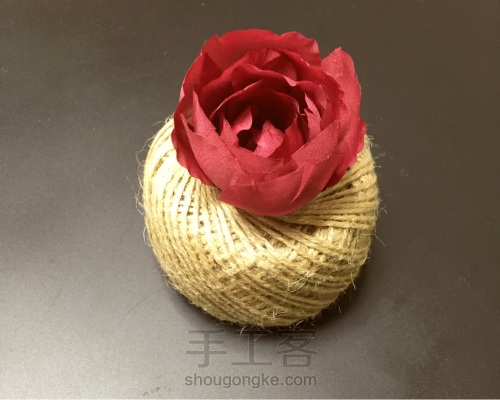 红玫瑰——红是朱砂痣烙印心口 第5步