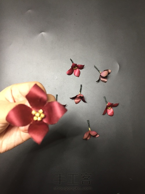 送你一束 — — 绣球花 第5步