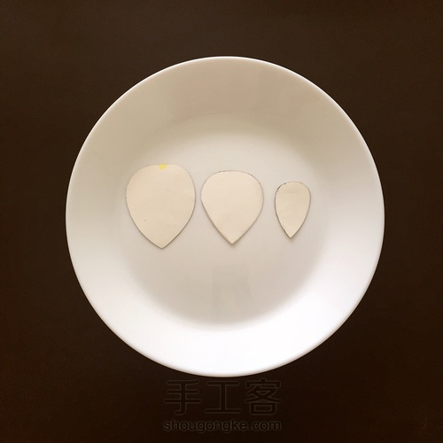 属于你的芬芳 —— 奥斯汀玫瑰 第1步