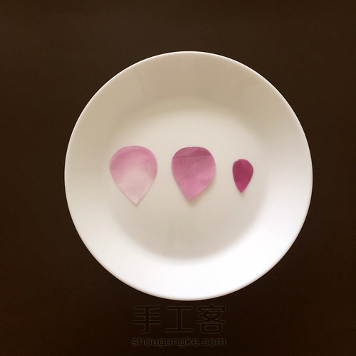 属于你的芬芳 —— 奥斯汀玫瑰 第2步