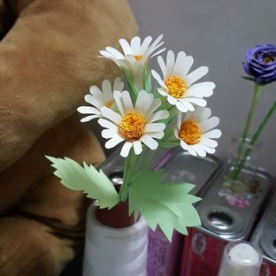 清新小菊花