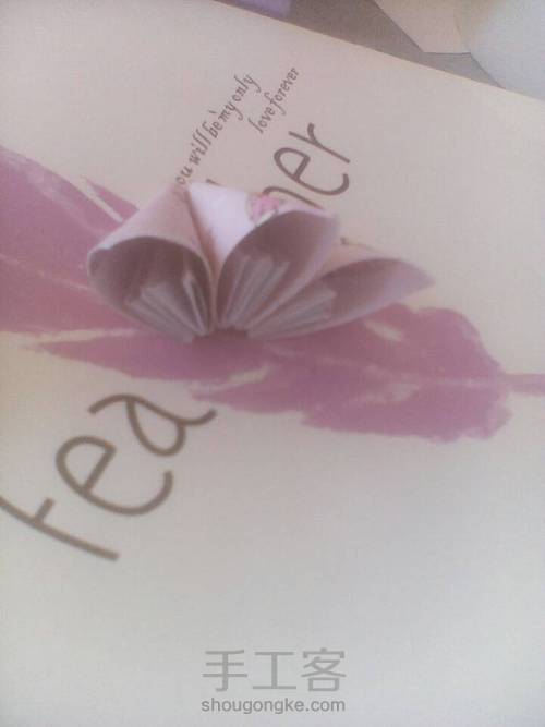 简单的樱花,美美哒 第21步