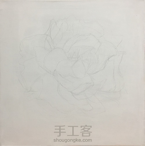 花开富贵 手绘油画 第2步