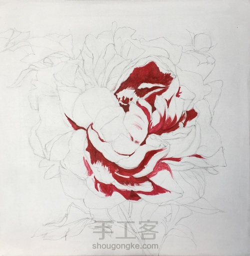 花开富贵 手绘油画 第5步