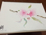 就是用水彩画桃花