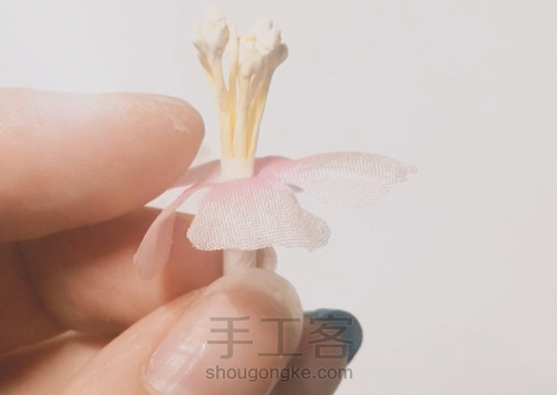 黑桃造花教程——桃花 第8步