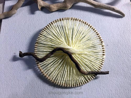 干枝与纸绳 第4步