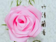 玫瑰花寓意爱情，爱与美。不同颜色和数量也有不同的含义，女生们或多或少会喜爱那玫瑰。