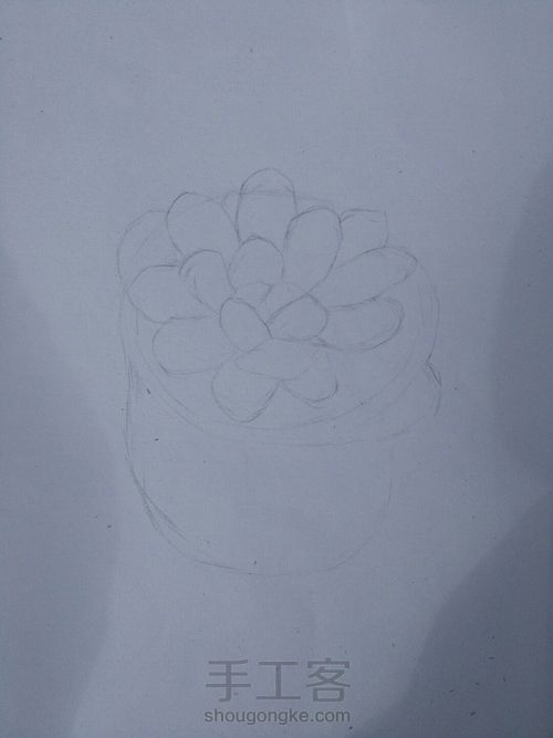 手绘多肉 第1步