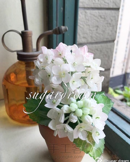 热缩绣球迷你盆栽 第1步