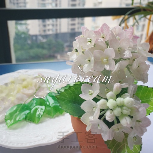 热缩绣球迷你盆栽 第15步