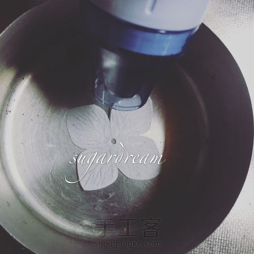 热缩绣球迷你盆栽 第5步