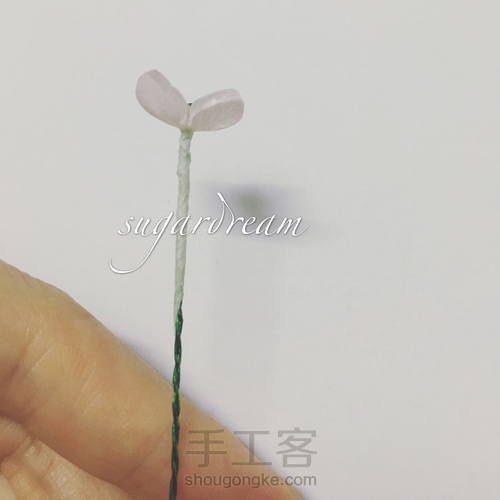 热缩绣球迷你盆栽 第11步