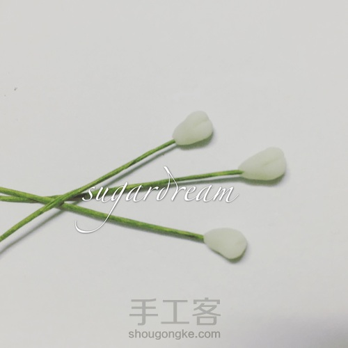 热缩绣球迷你盆栽 第16步