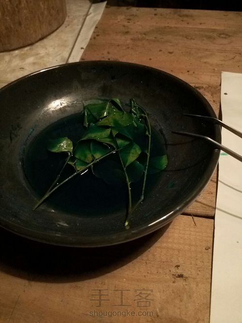 植物标本挂画 第4步