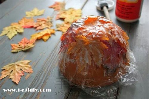 枫叶碗[转] 第5步