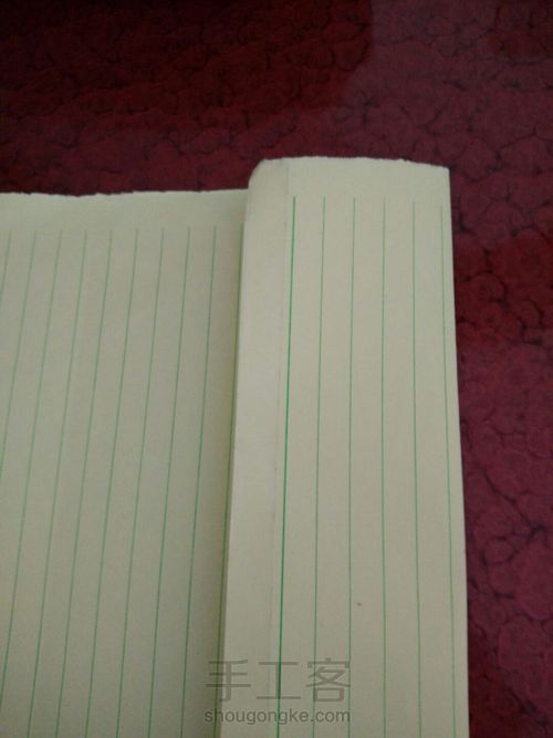 芦苇微微 第8步