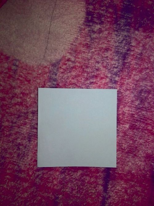 玫瑰花🌹 第1步