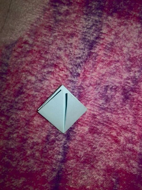 玫瑰花🌹 第5步