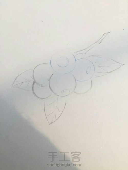 彩铅蓝莓 第1步