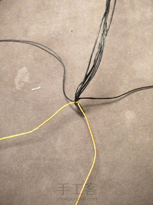 八线玉米 第3步