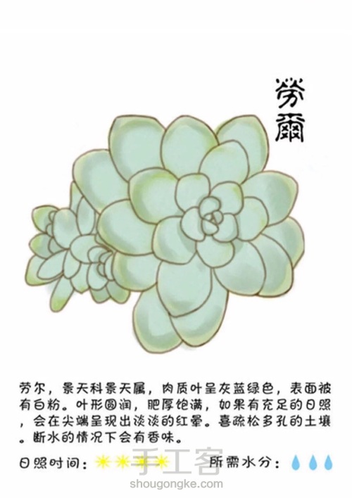 「手绘多肉图解」转载 第6步