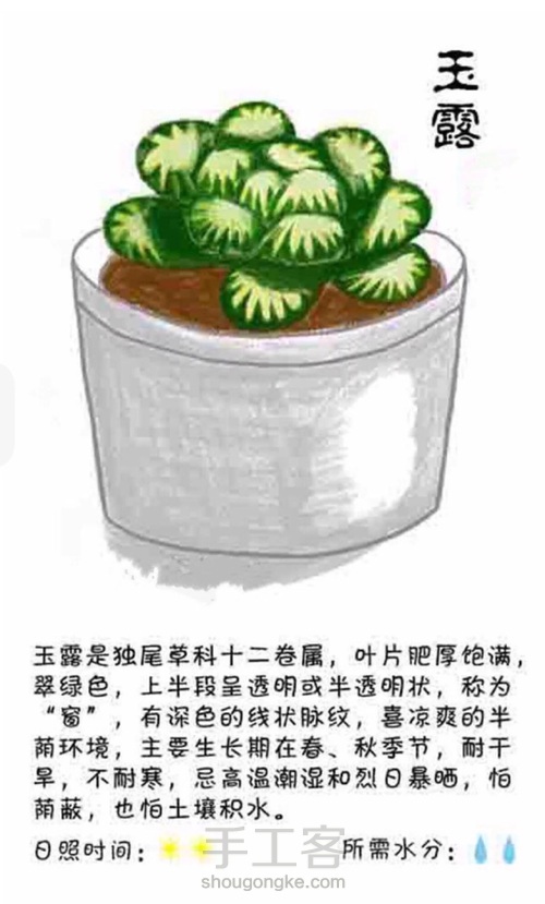 「手绘多肉图解」转载 第52步
